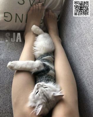 棉花娃娃秃头怎么办_国产剧完整版观看